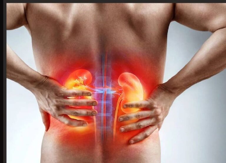 WhatsApp Image 2024 10 07 at 08.23.45 73e2c480 1024x739 1 768x554