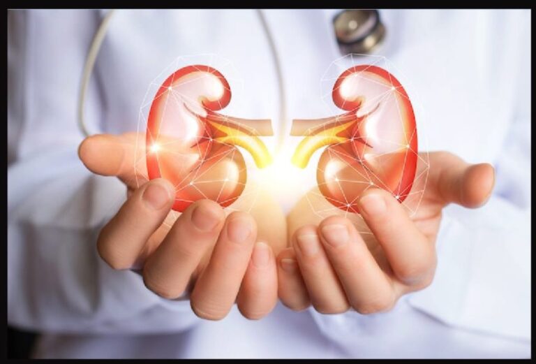 WhatsApp Image 2024 10 12 at 10.41.18 19e31c7a 1024x694 1 768x521