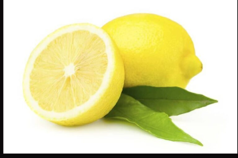 WhatsApp Image 2024 10 16 at 21.15.10 acc5ff07 1024x682 1 768x512