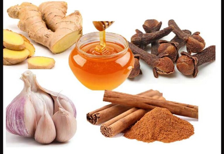 WhatsApp Image 2024 10 24 at 22.41.24 81a6fbc4 1024x703 1 768x527