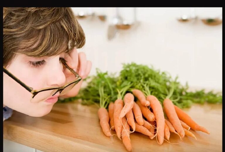 WhatsApp Image 2024 11 07 at 20.26.47 f0d672bb 1024x693 1 768x520