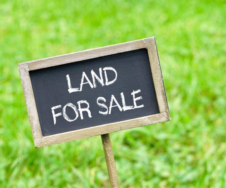 land for sale 1 scaled 1 1024x853 1 768x640