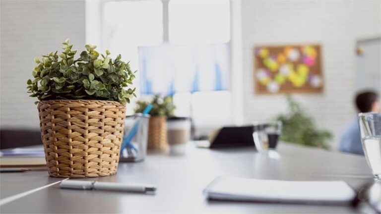 project 4 img 768x432