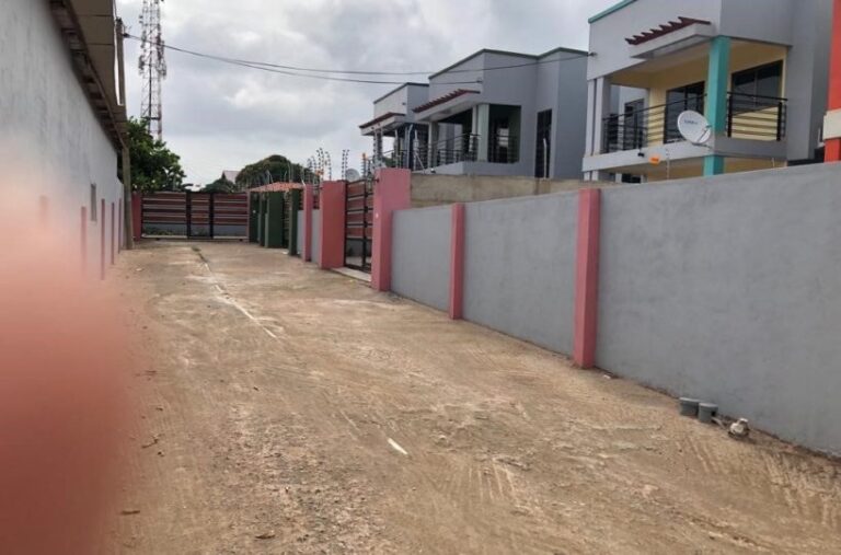 ash1 e1634819424921 818x540 1 768x507